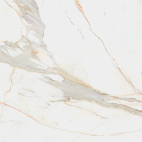PAMESA Calacata Gold – Poli brillant – visuel du carrelage