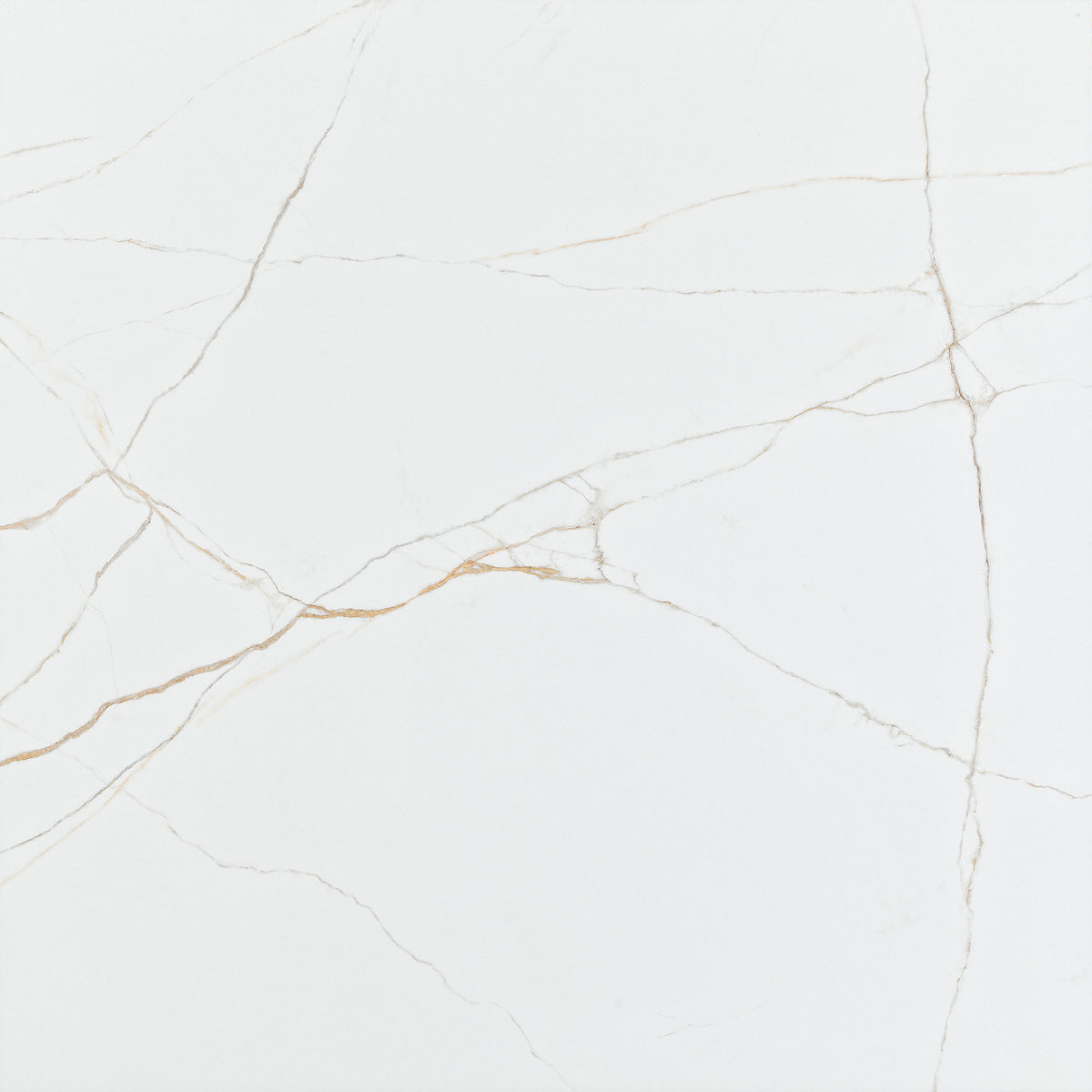 PAMESA Acquilea Oro – Poli brillant – visuel du carrelage