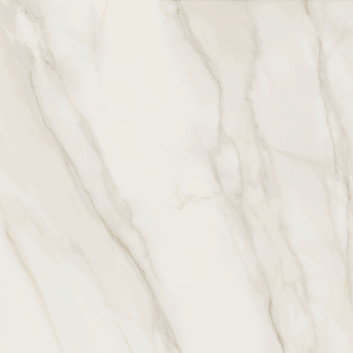 PAMESA Tresana Blanco – Poli brillant – visuel du carrelage