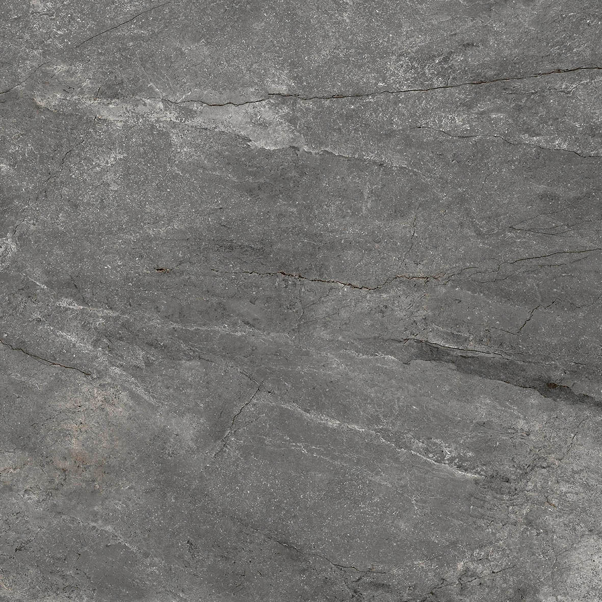 PAMESA Wells Ash – Poli brillant – visuel du carrelage