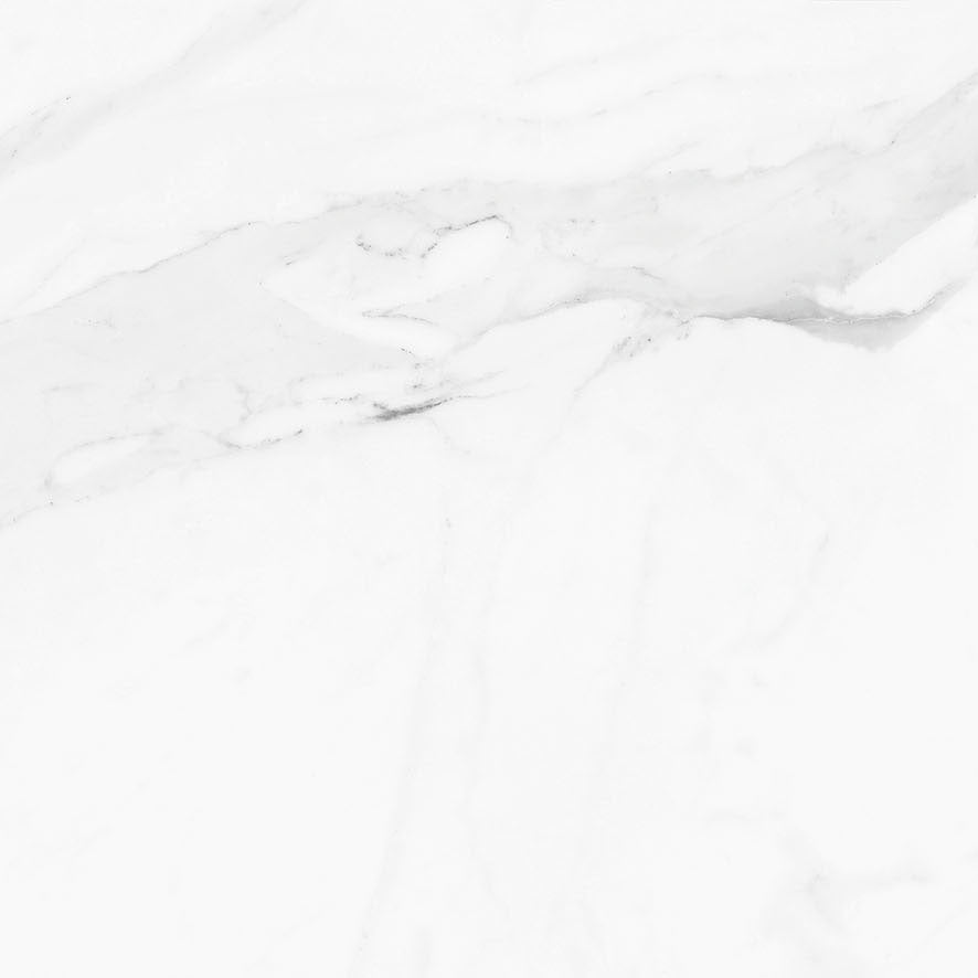 PAMESA Calacata White – Poli brillant – visuel du carrelage