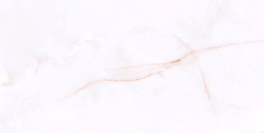 PAMESA Onix White – Poli brillant – visuel du carrelage