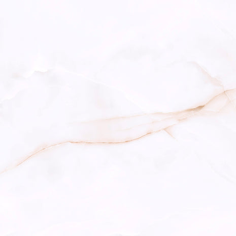 PAMESA Onix White – Poli brillant – visuel du carrelage