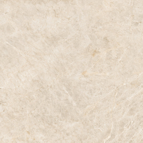 PAMESA Taj Mahal White – Satiné – visuel du carrelage