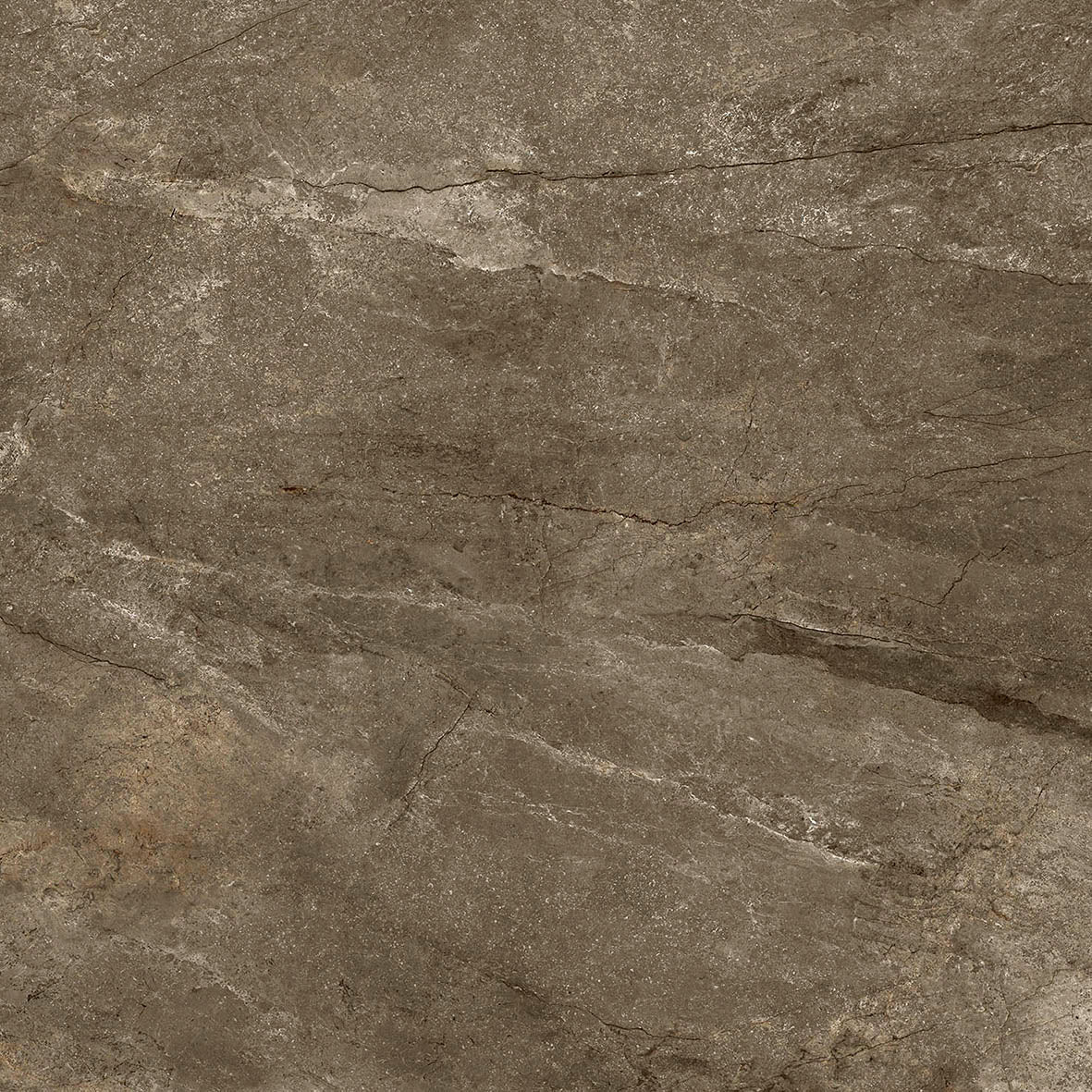 PAMESA Wells Moka – Mat – visuel du carrelage