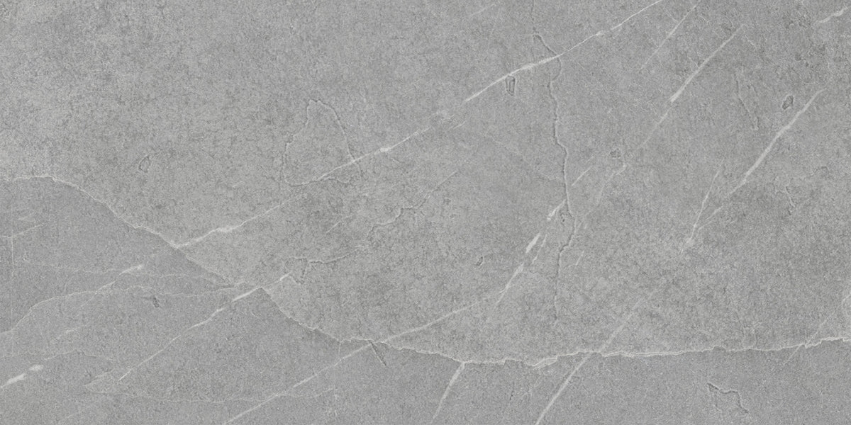 PAMESA Pietra Di Lavagna Argento – visuel du carrelage