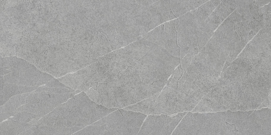 PAMESA Pietra Di Lavagna Argento – visuel du carrelage