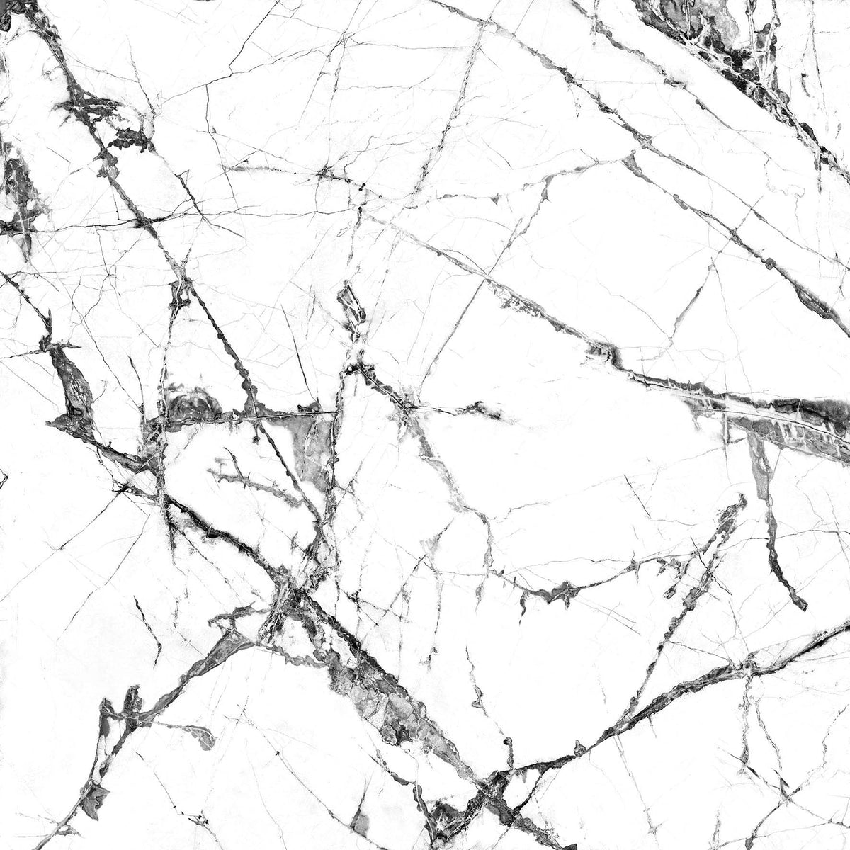 PAMESA Lux Iceberg White – Poli brillant – visuel du carrelage