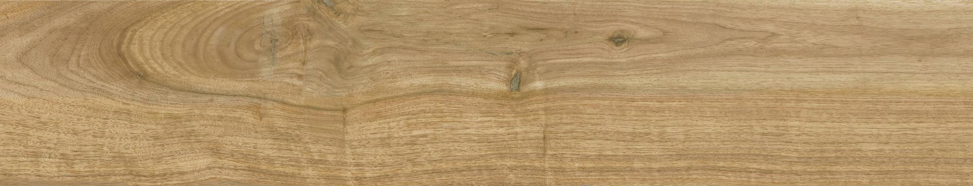 23x120 Ithaca Natural Matt (Mur/Sol)