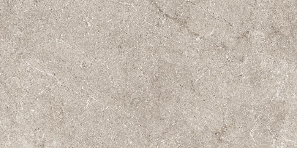 60x120 Salma Stone Matt (Mur/Sol)
