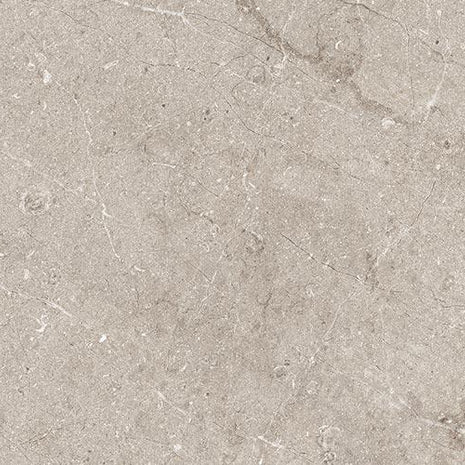 60x120 Salma Stone Matt (Mur/Sol)