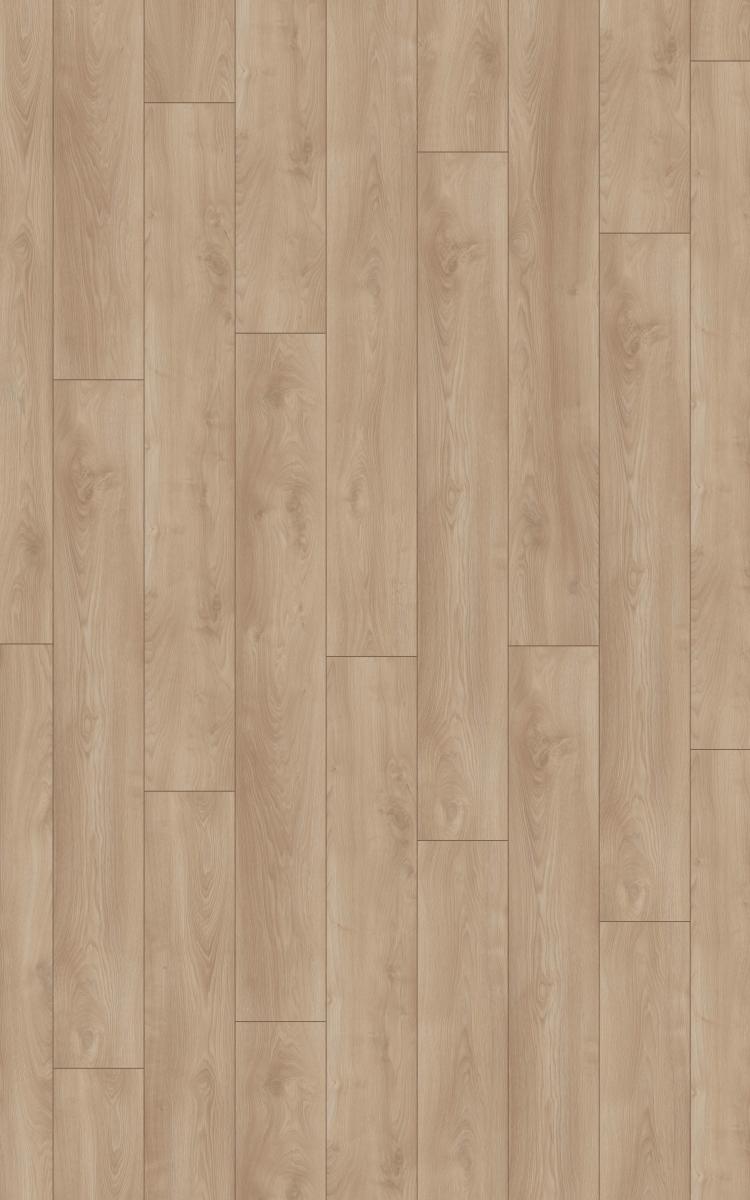 Parquet Stratifie 12mm Group THYS X-Treme D4752 Oak Castle Light