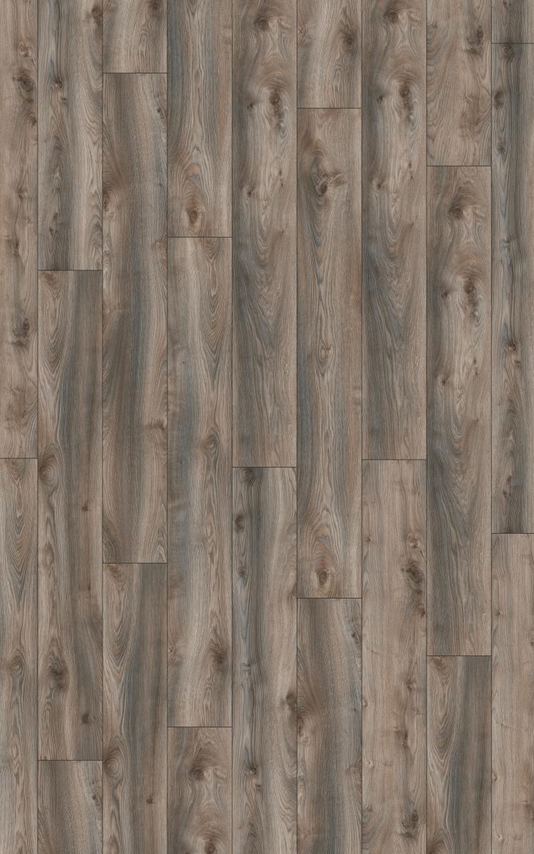 Parquet Stratifie 12mm Group THYS X-Treme D4792 Oak Bergen Grey