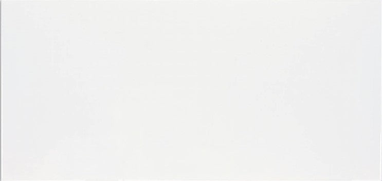 30x60 Blanco Matt  (Mur)