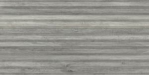 60x120 Viggo Rlv Ceniza Matt (Wall/Floor)