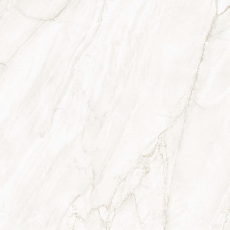 NAVARTI Clarke Shine Bone, visuel du coloris