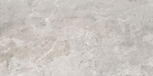 60x120 Es.Erding Silver Matt (Mur/Sol)