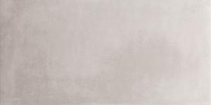 60x120 Es.Essen Ash Matt (Mur/Sol)