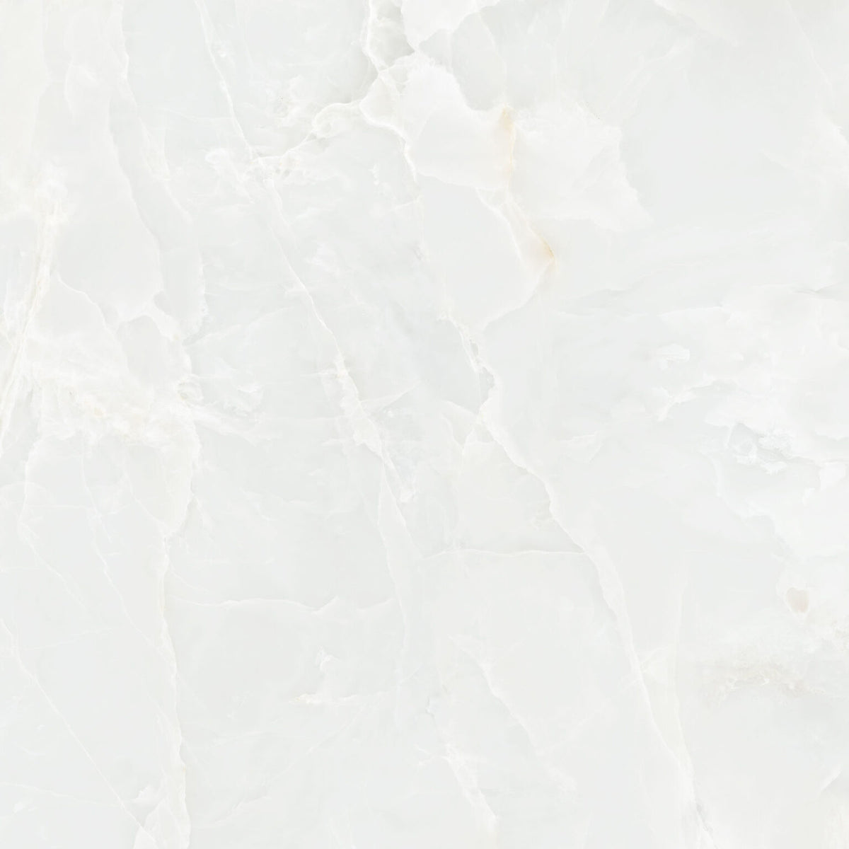NAVARTI Garner White, visuel du coloris