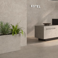 60x120 Portland Beige Matt (Mur/Sol)