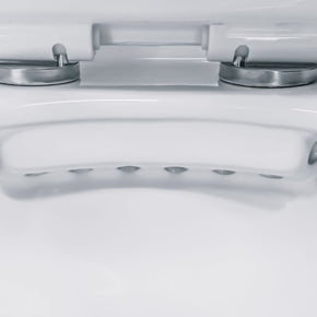 Wc Suspendu PRO Kit avec abattant soft close 35,5X41X54,5 CM Blanc Brillant