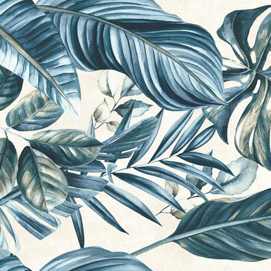 Matt | 60x60 Velez Noce