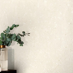 60x120 Pietra Coral Natural Matt (Mur/Sol)