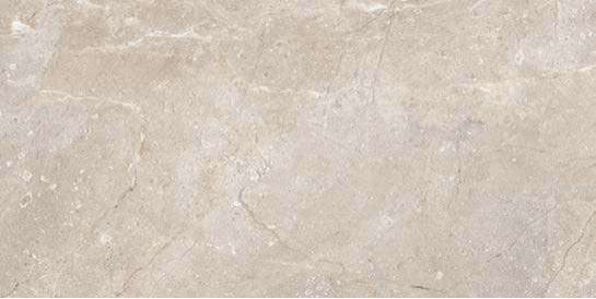FANAL Lord Greige – visuel du carrelage