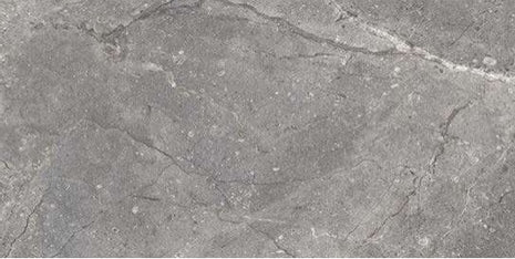 FANAL Lord Gris – visuel du carrelage