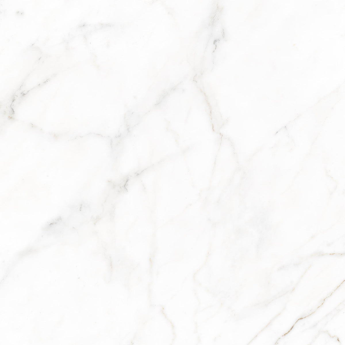 ITT CERAMIC Prestige White – Brillant – visuel du carrelage