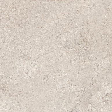 60x120 Portland Stone Matt (Mur/Sol)