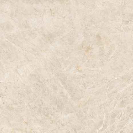PAMESA Série Taj Mahal White – Satiné - Akdeniz Deco